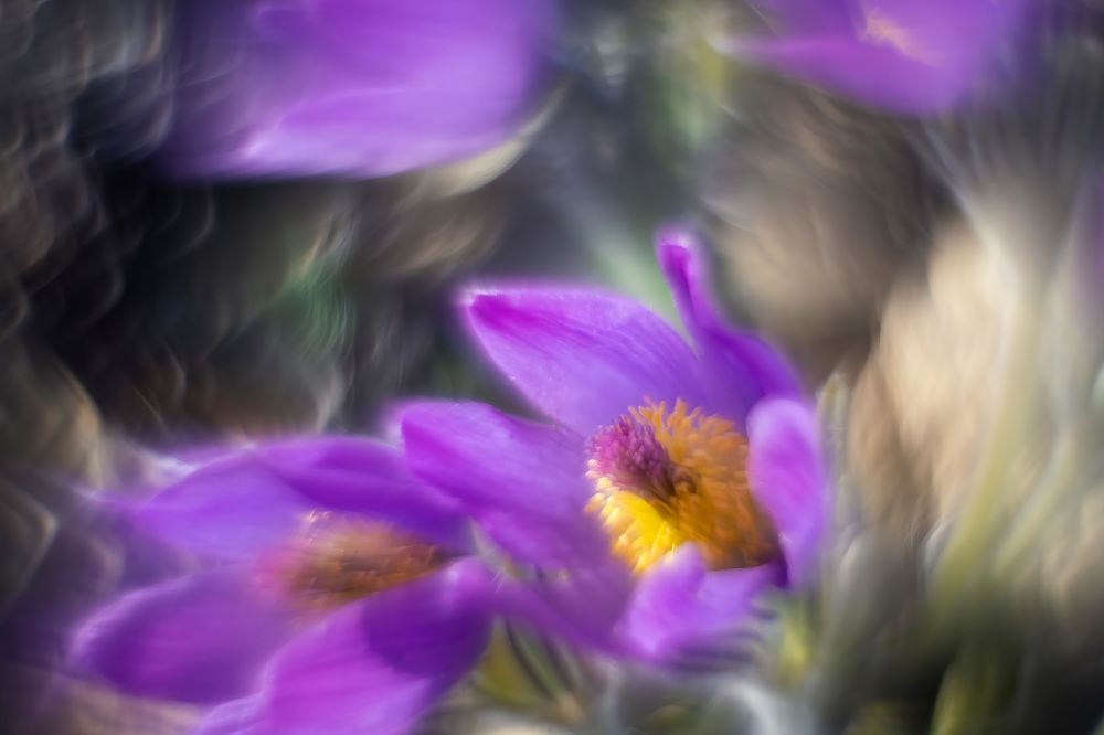 Photograph by Денис Пронин