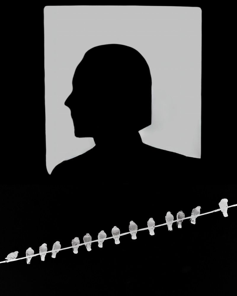 Photograph by Елена Мариничева