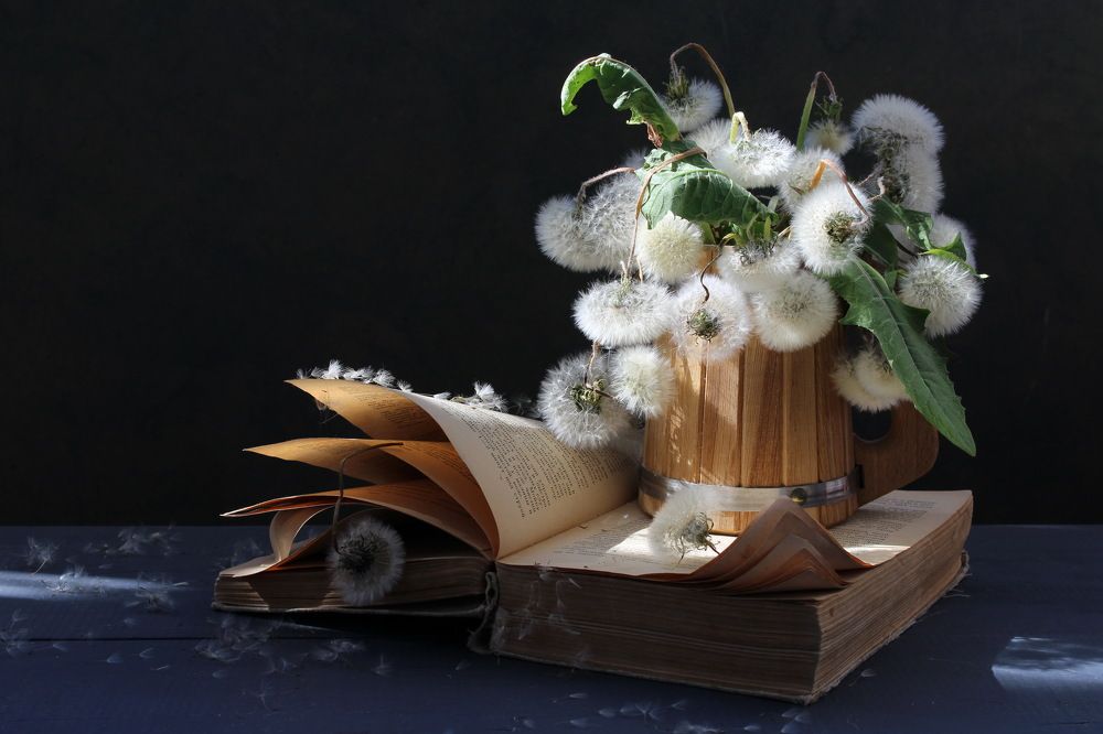 Photograph by Сироткина Нина