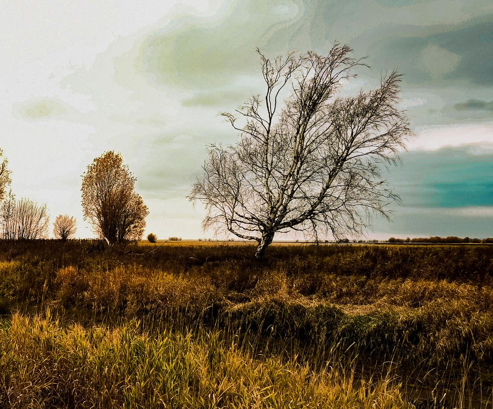 Photograph by Ольга Пономарева