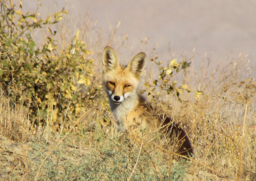 Photograph by Moein Gheysari