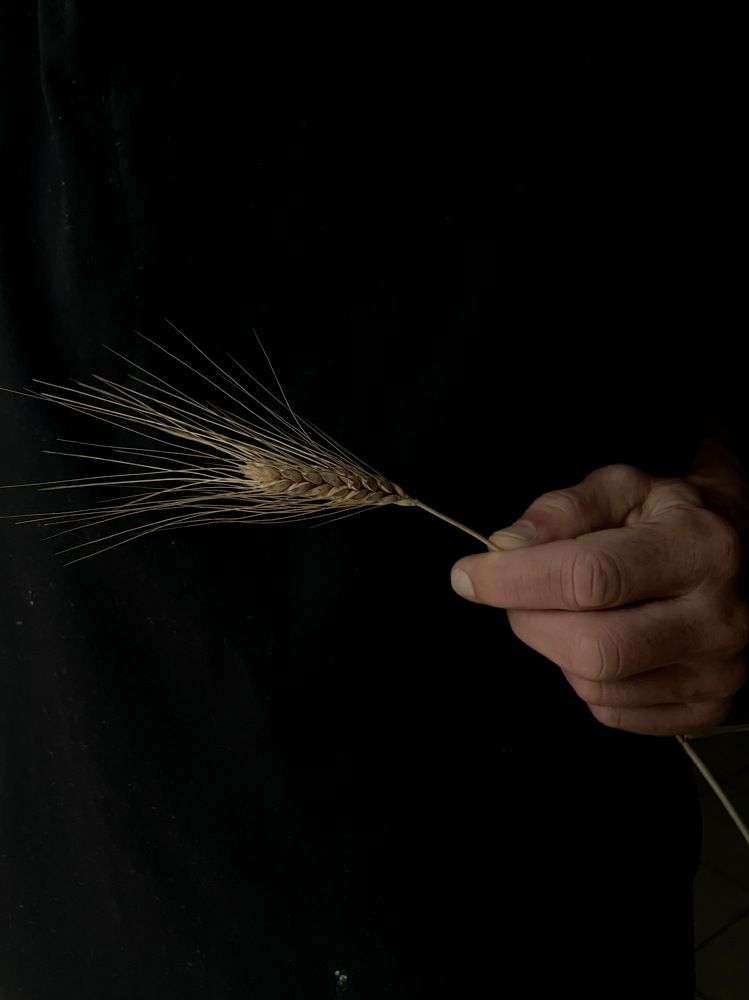 Photograph by Marina Odintsova