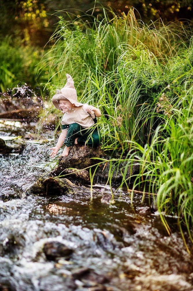 Тайна волшебного леса