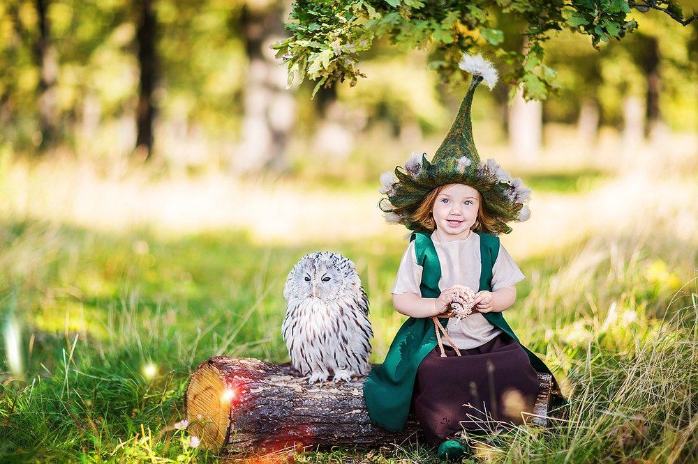 Тайна волшебного леса - 2