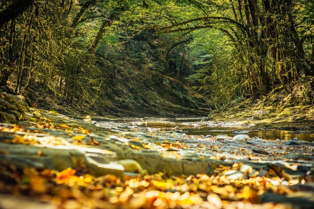 Осень горный ручей