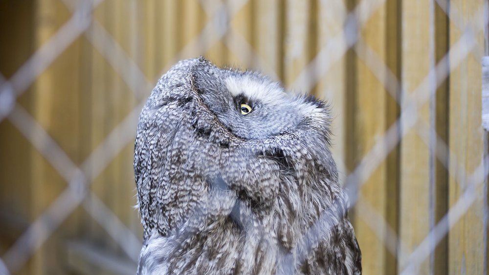 Photograph by Тагир Сайфуллин