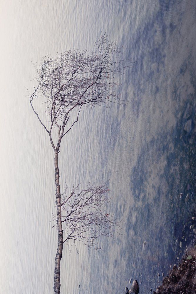 Naturally different point of view