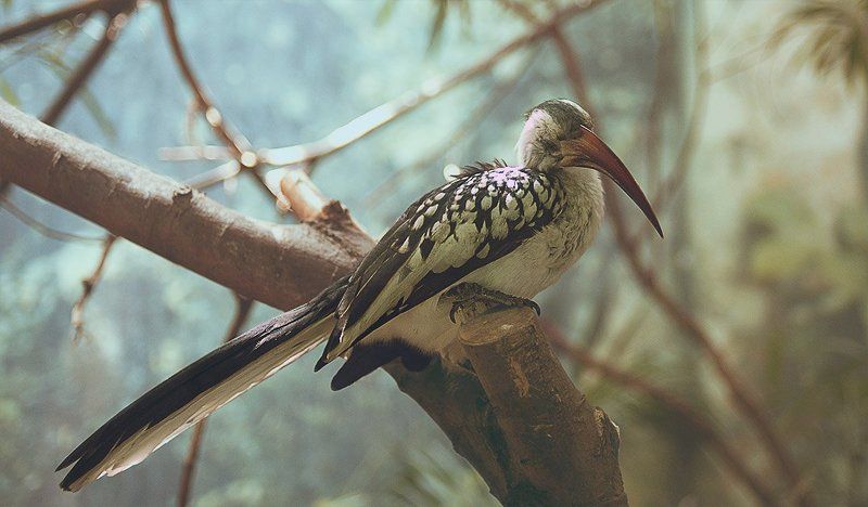 Olesja Konstantinova, Spain