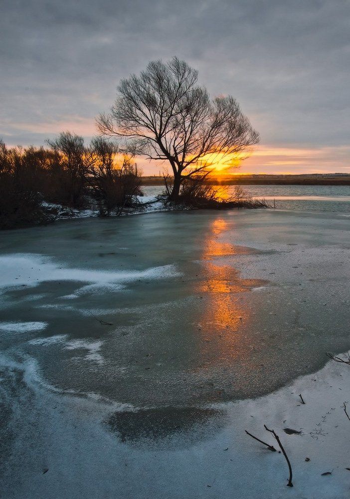 Первые лучи
