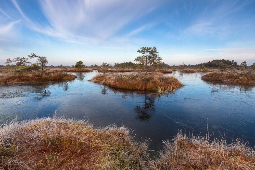 Photograph by Eriks Zilbalodis