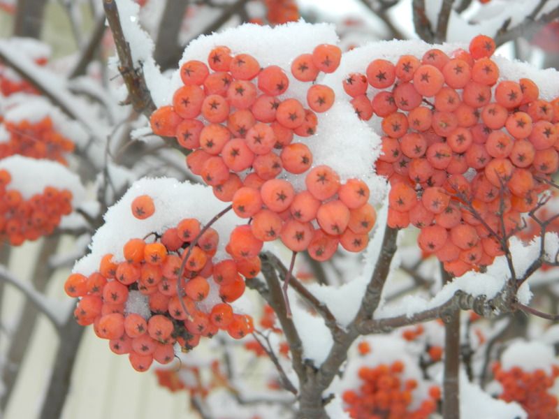 Людмила, Russia