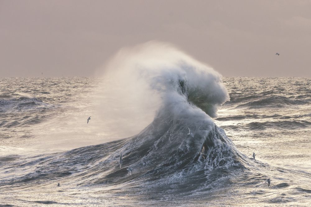 Мимолётная скульптура