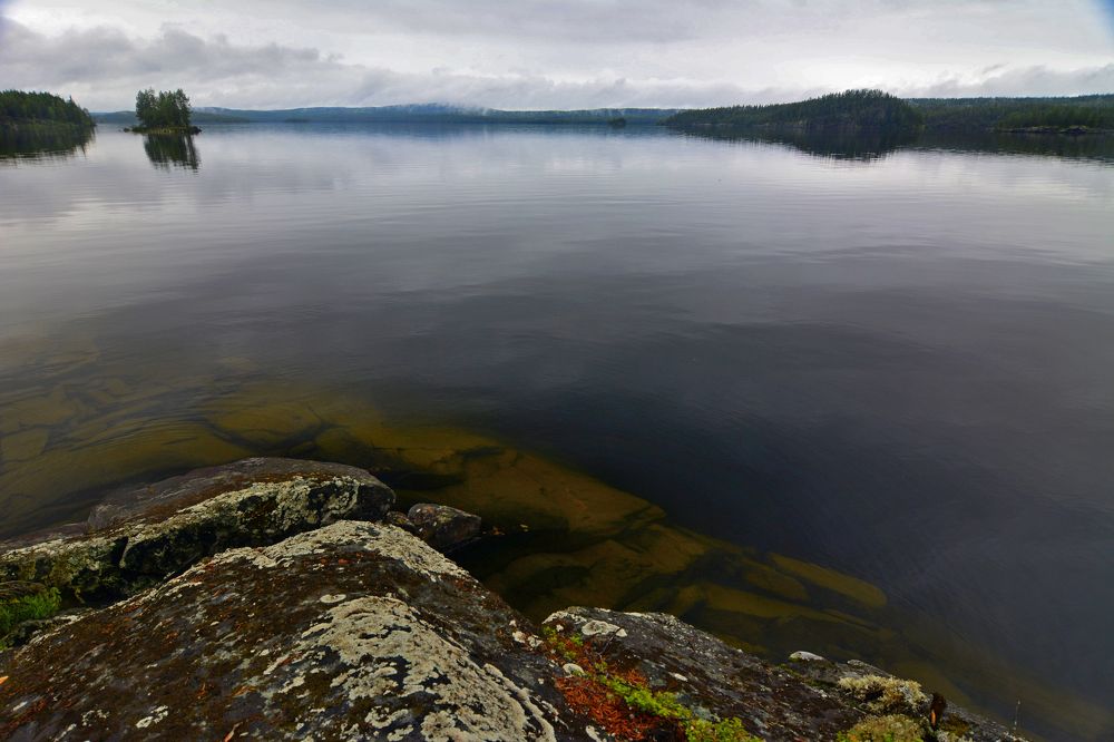 Photograph by Денис Воронин