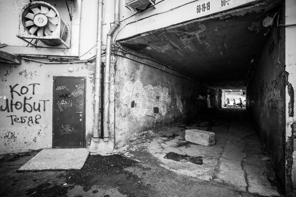 Немного о котах