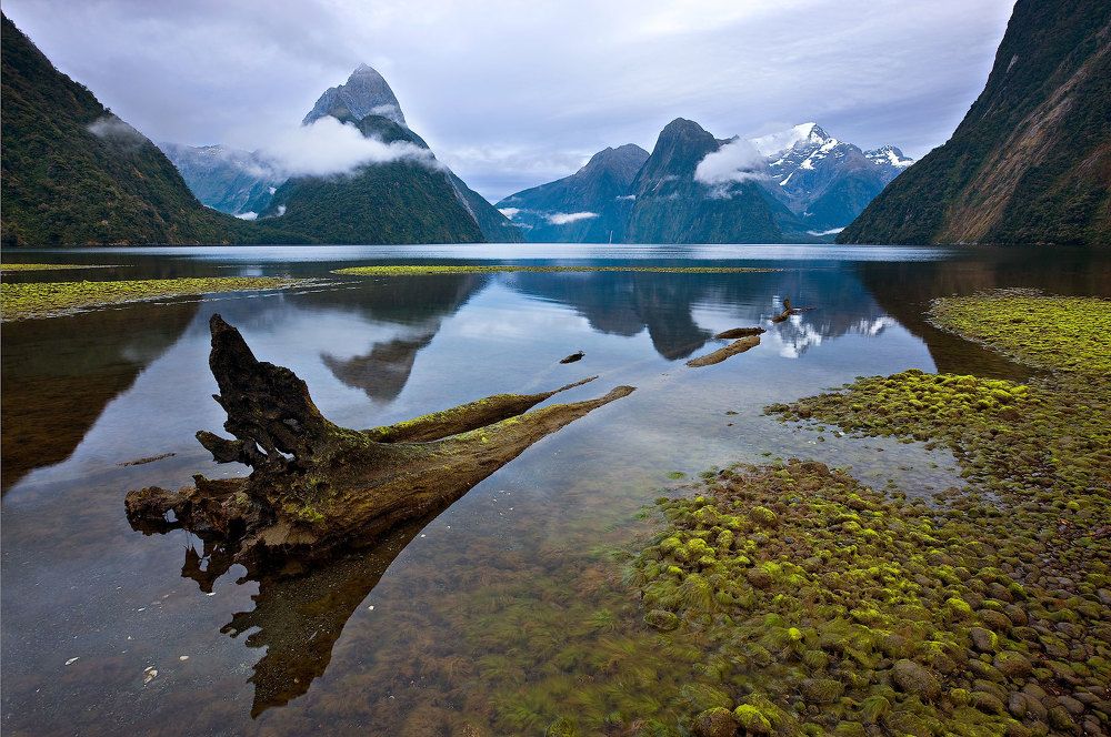 Планета Милфорд