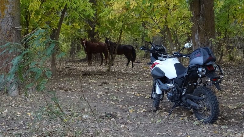 Виталий, Russia