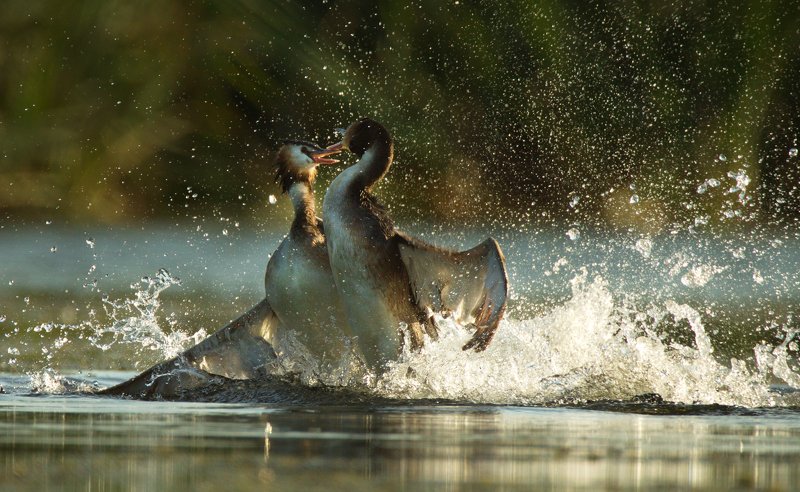 Karanov Nikolaj, Russia