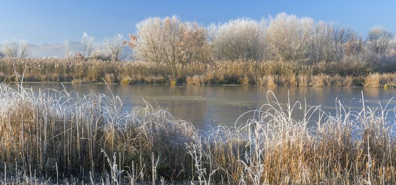 Yuri Starodubtsev, Russia