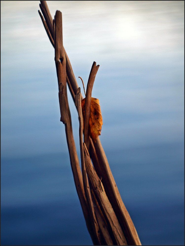 Осенние настроения)