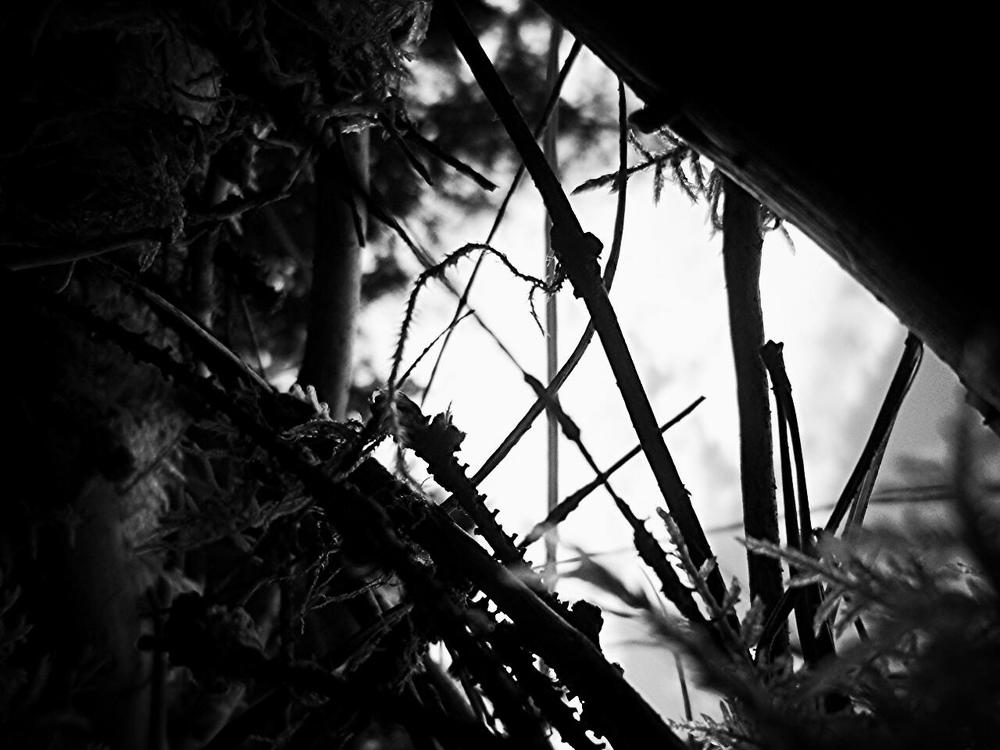 Мнной взгляд