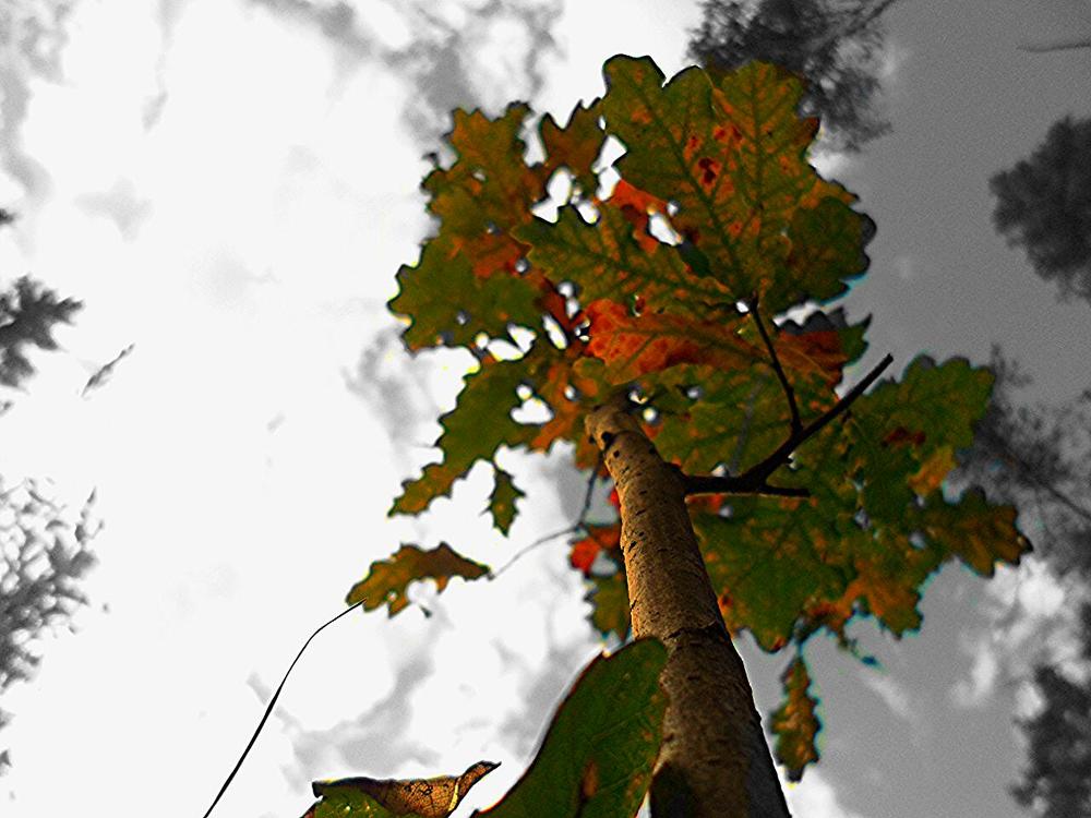 Взгляни по инному.