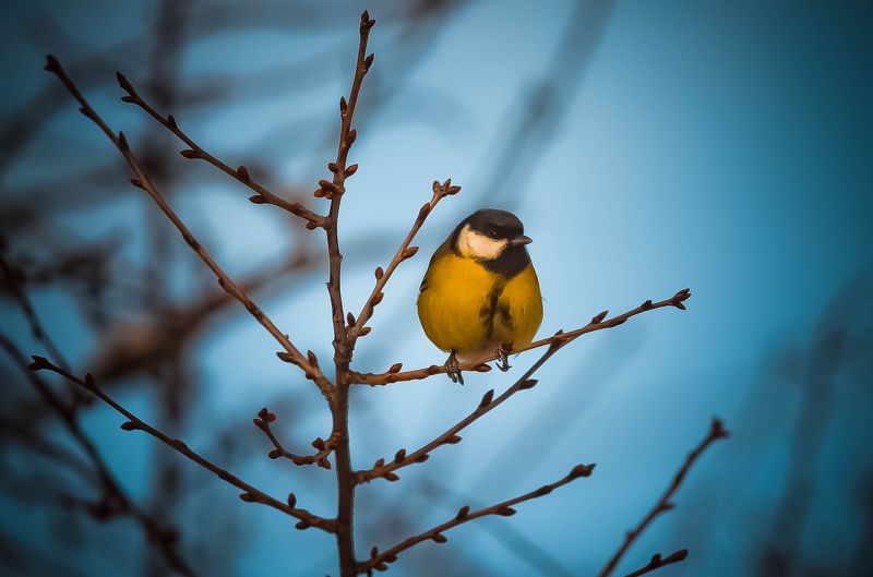 Ульяна, Ukraine