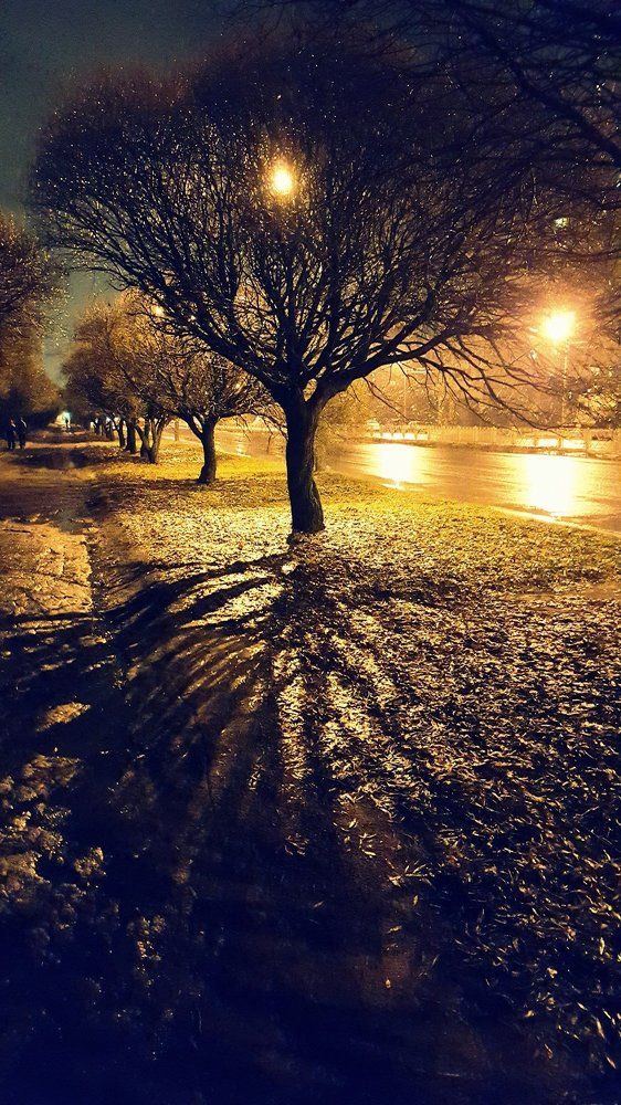 Кракен вечером