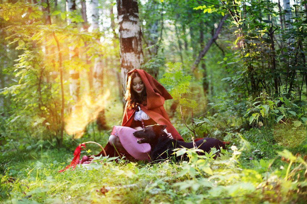 Photograph by Дарья