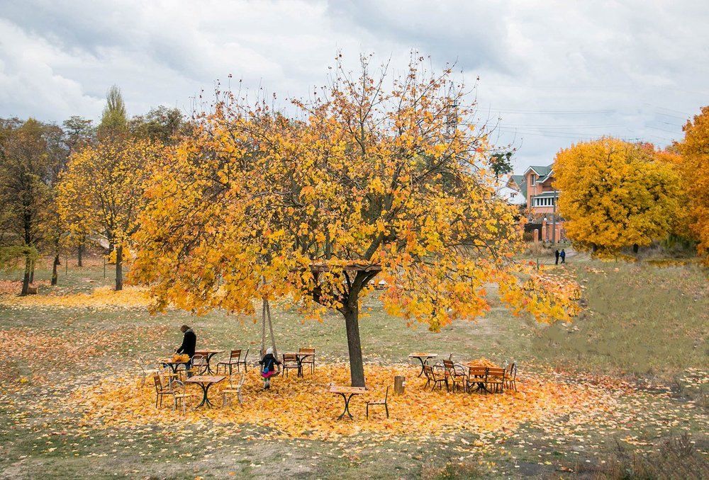 Карусель