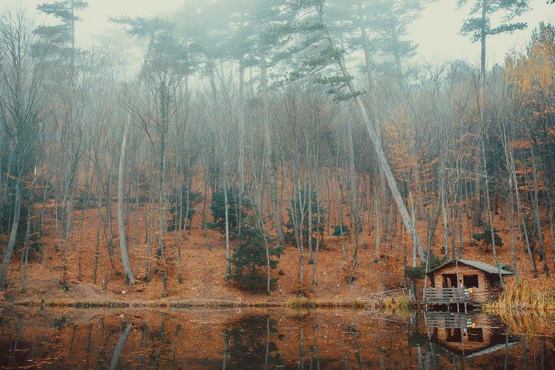 Евгений Кутищев, Ukraine
