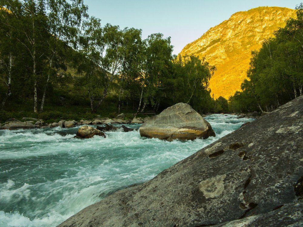 Приток Катуни