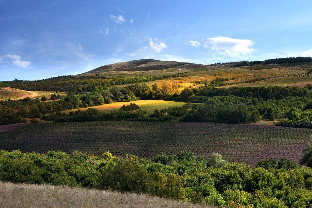 Хвалынские горы