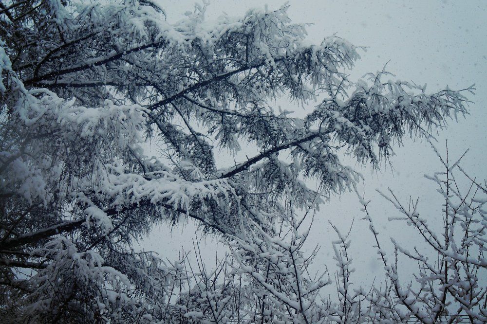 Photograph by Алина