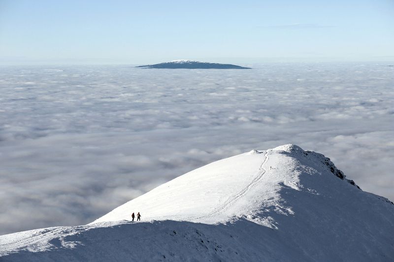 Andrzej Paszkowski, Poland