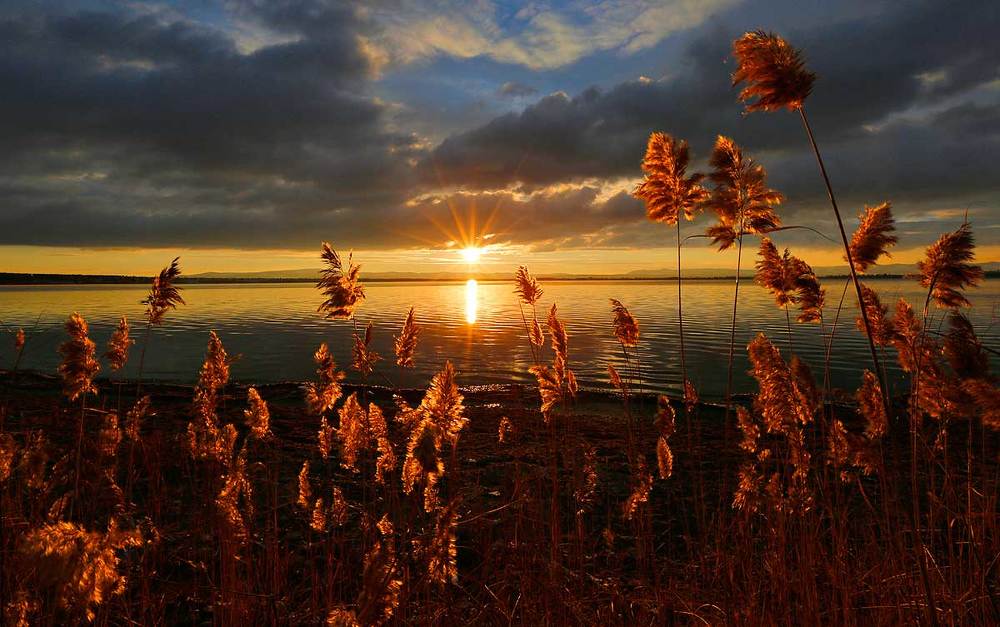 Утро на Щучьем озере