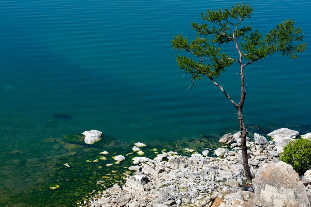 Photograph by Юлия