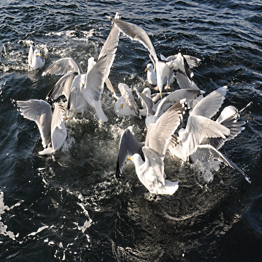 Вся жизнь борьба.