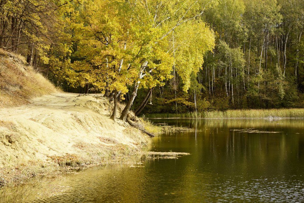 Забытая тарзанка