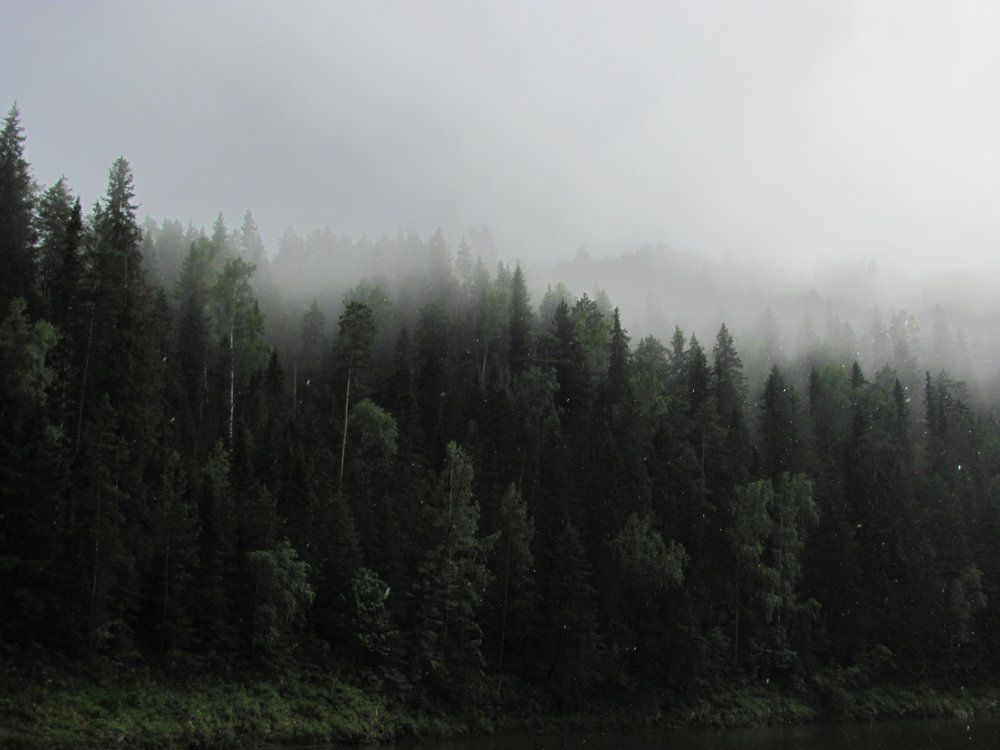 Тёмная лощина