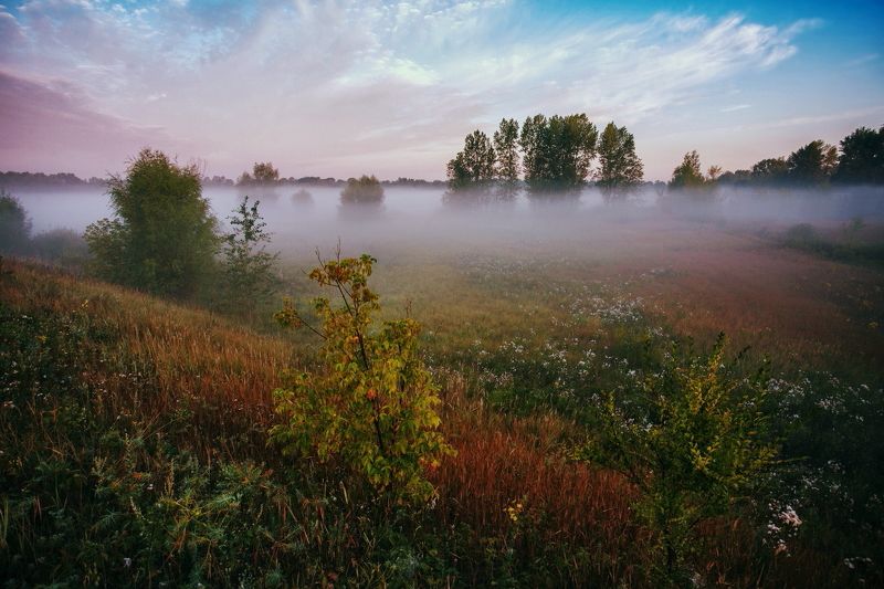 Nikolay Alekhin, Russia