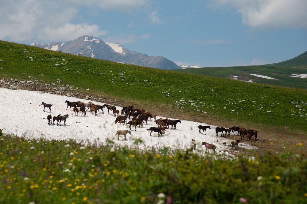 Затерянный мир