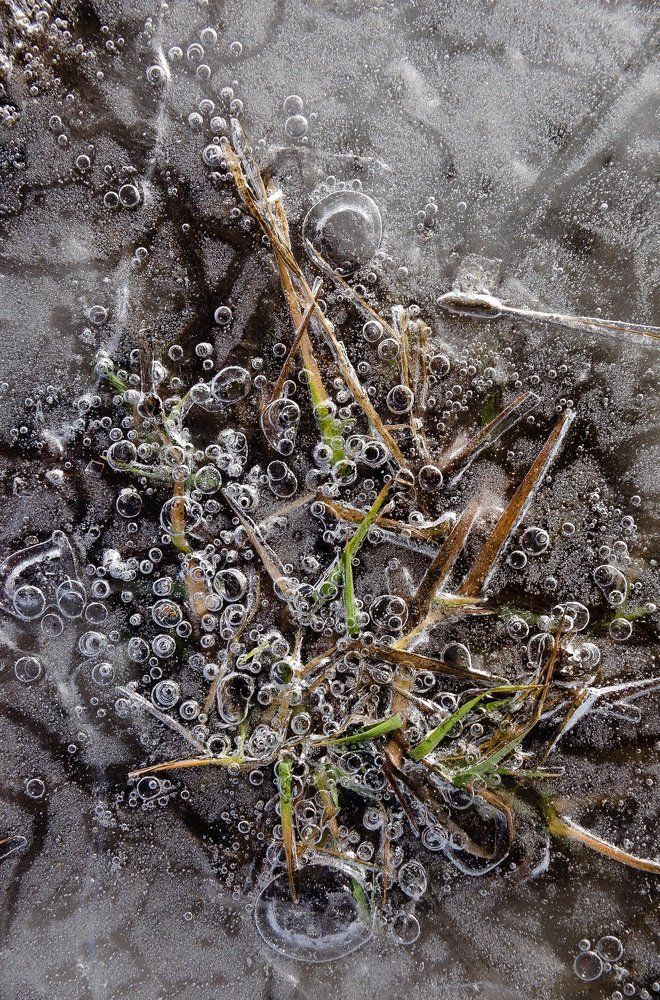 Весенняя абстракция