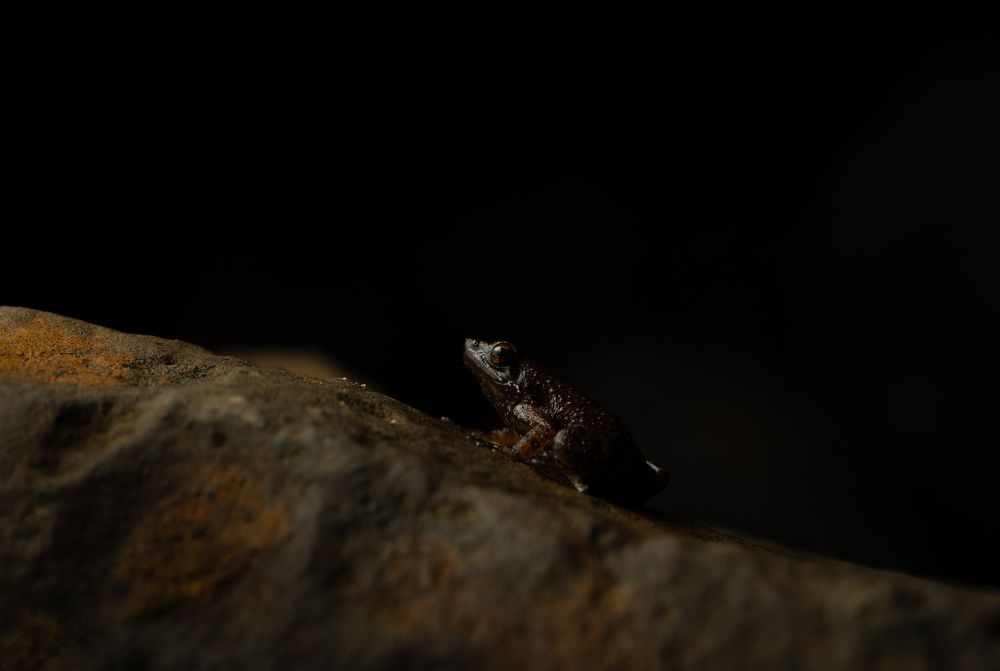 Photograph by Anand R J