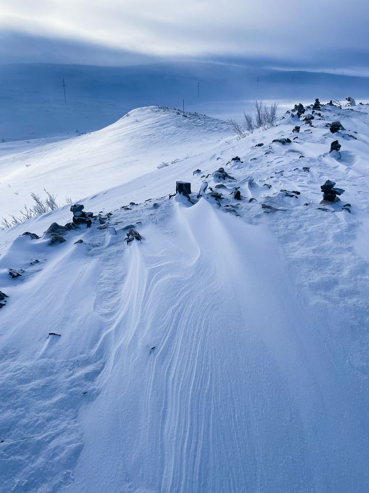 Арктическая пустошь