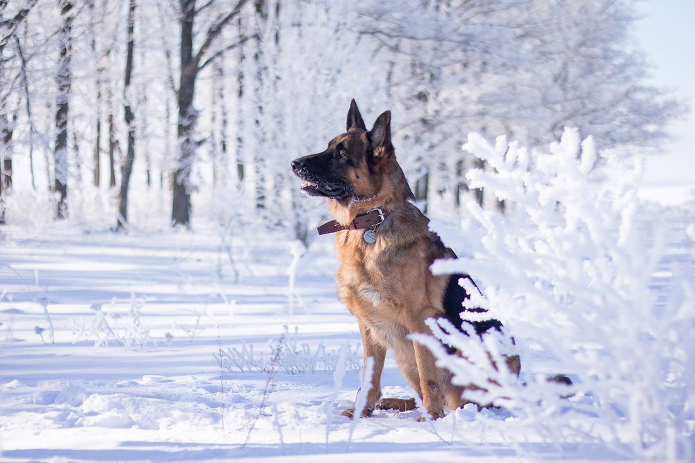 Photograph by Любовь Головина