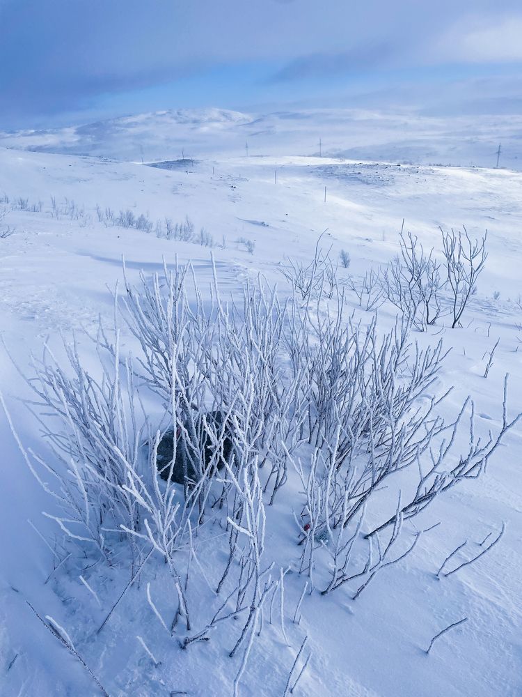 Photograph by Максим Стриганов