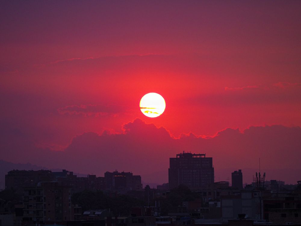 Фотография автора Camilo Rojas