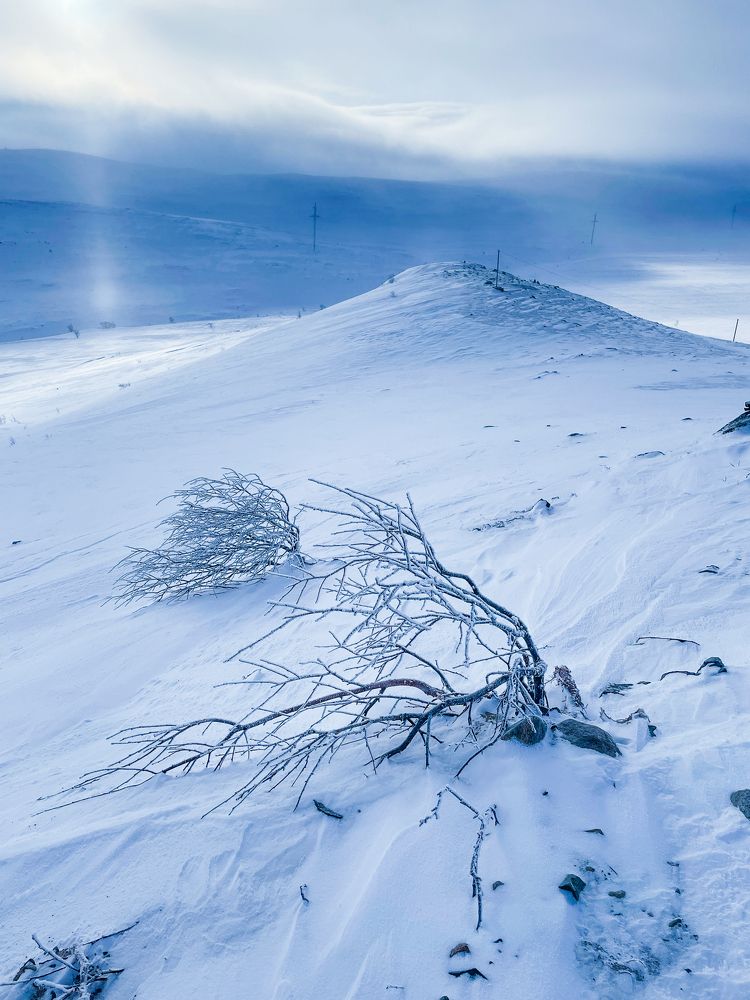 Photograph by Максим Стриганов