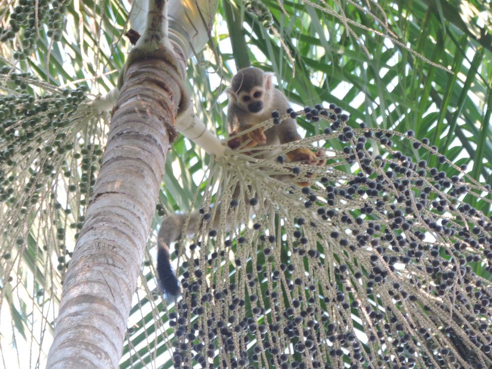 Photograph by Rodrigues Helena