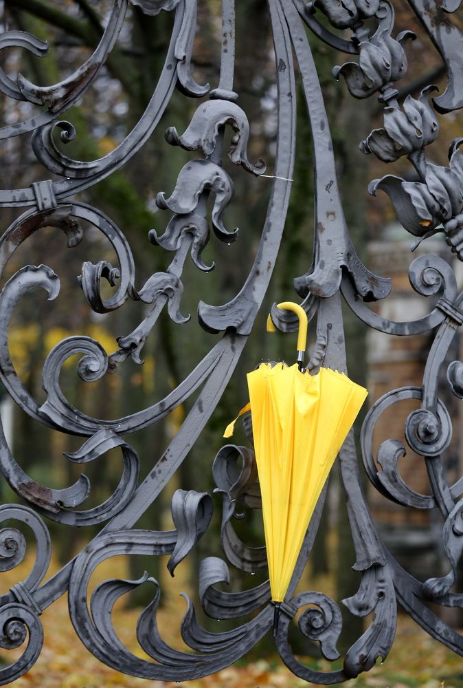 Photograph by Унку Юрий